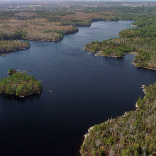 COMMENTARY: Land acquisition critical to establishing Blue Mountain Park